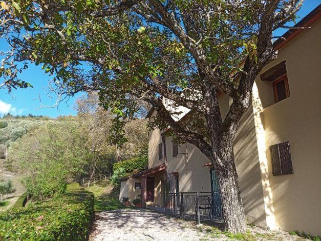 Agriturismo Il Giardino Pontassieve Esterno foto