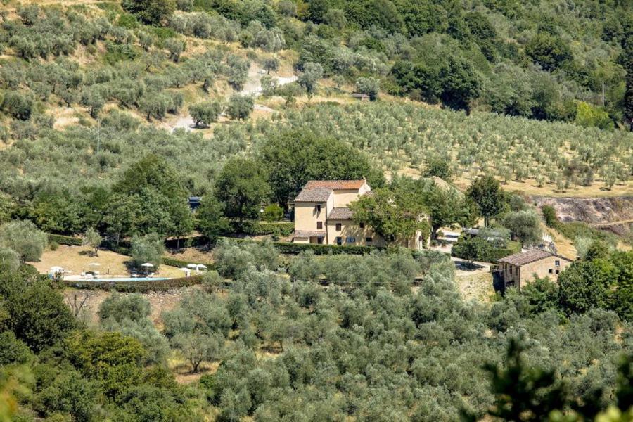 Agriturismo Il Giardino Pontassieve Esterno foto