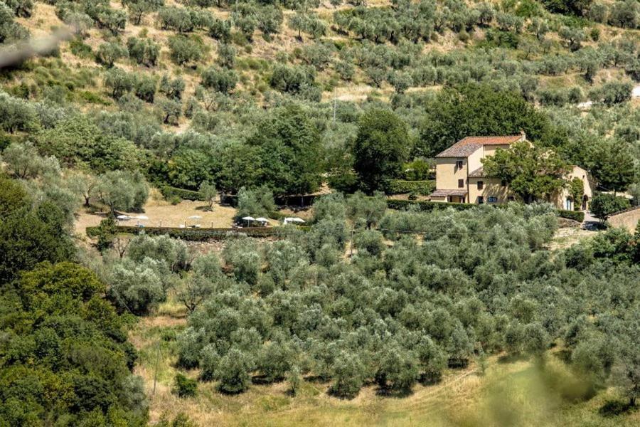 Agriturismo Il Giardino Pontassieve Esterno foto